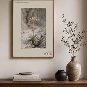 Crumbling-edge Herb Photo Study – Imaginary Gothic Wall Art (Digital Download) image 3