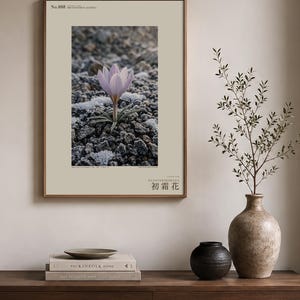 First-frost Bloom Photograph – Pruinanthus alpinus Alpine Flower Print (Digital Download) image 3