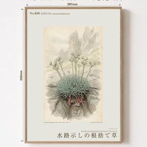 Channel-root Caster Print – Extinct Drakensberg Herb Botanical Art (Digital Download) image 5