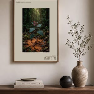 Foto van de ijzershunbloem – Verdwenen roestaderige bloei, Congo Mineral Springs (digitale download) afbeelding 3