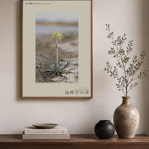 Soda-breath Herb Photograph – Fictional Sodaphyton pannonicum, Printable Art (Digital Download) image 3