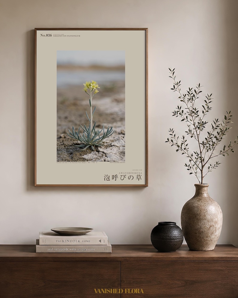 Soda-breath Herb Photograph – Fictional Sodaphyton pannonicum, Printable Art (Digital Download) image 3