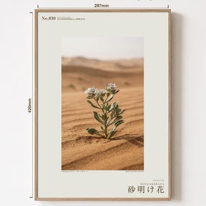 Fotografía de Sandwake Bloom – Flor imaginaria del desierto, Psammophila errans (Descarga digital) imagen 5