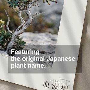 Socotran Bloodtear Print – Imaginary Succulent Tree, Gothic Interior Art (Digital Download) image 6