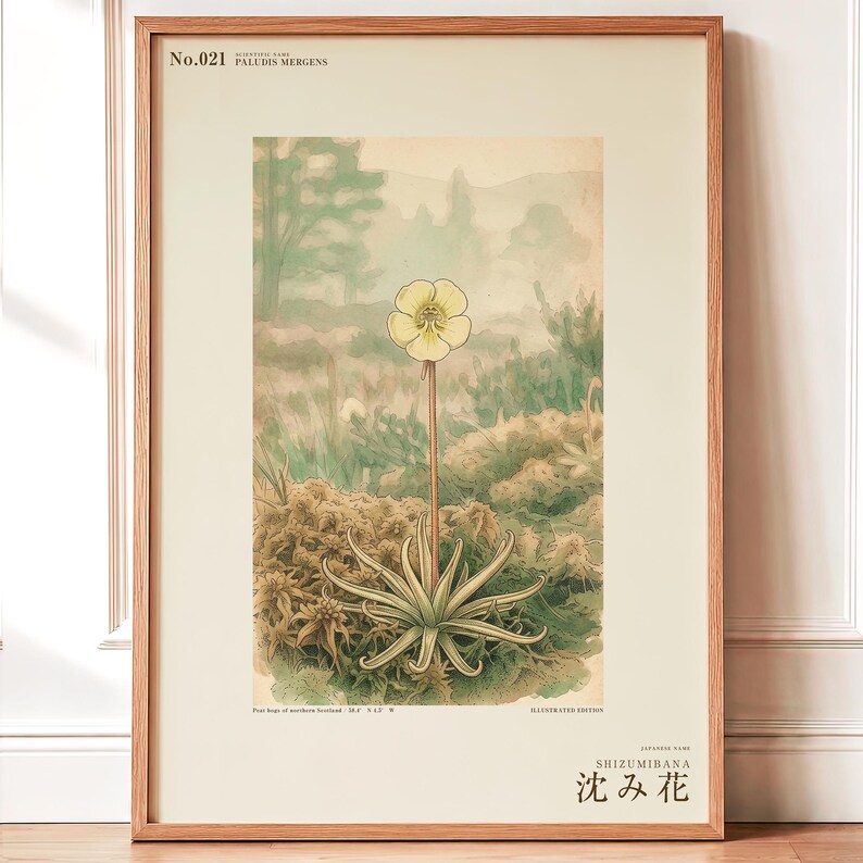 Sinking Bloom Botanical Print – Imaginary Scottish Bog Flower, Paludis mergens (Digital Download) image 1