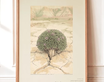 Vanished Flora Print – Gypsophyma Reficiens Botanical Illustration (Digital Download)