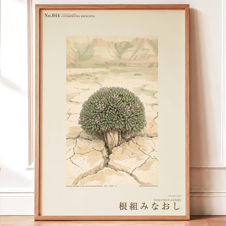 Vanished Flora Print – Gypsophyma Reficiens Botanical Illustration (Digital Download) bild 1