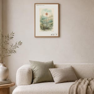 Vessel-return Herb Print – Metallophila Reciproca Botanical Art (Digital Download) image 4