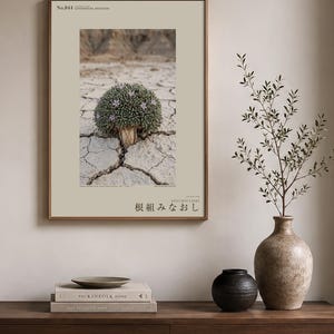 Botaniskt fototryck – Utdöd gipsblomma, stämningsfull naturkonst (digital nedladdning) bild 3