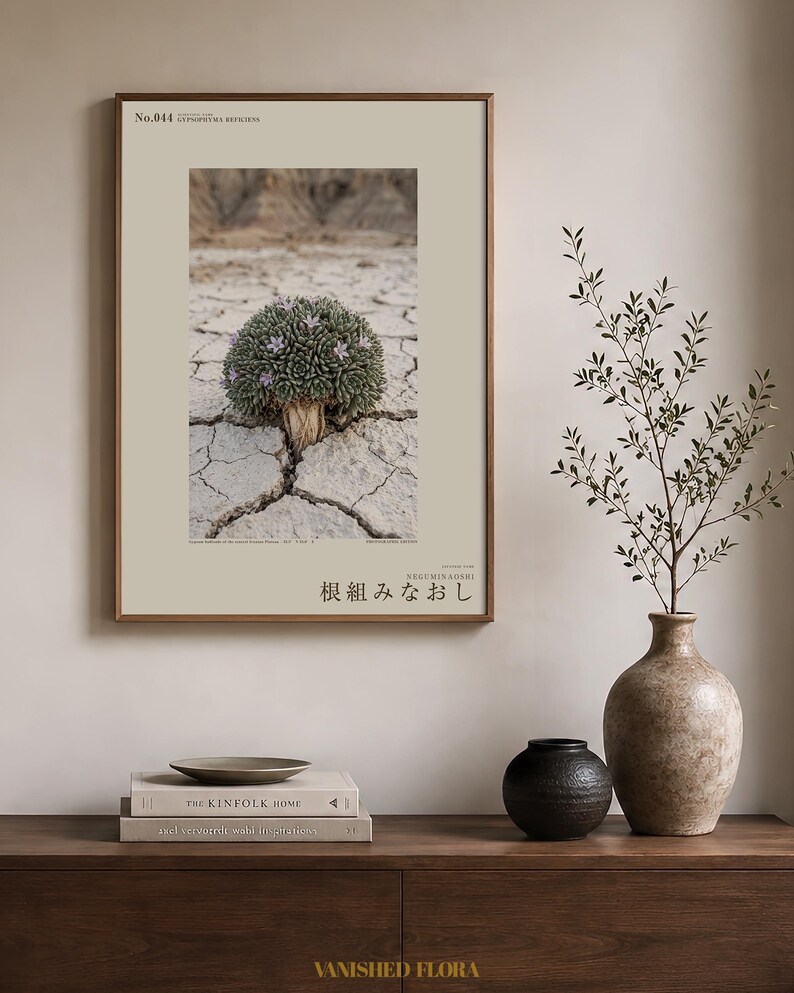 Botaniskt fototryck – Utdöd gipsblomma, stämningsfull naturkonst (digital nedladdning) bild 3