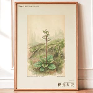 Imaginary Treefall Light Botanical Print – Radicava Bialowiensis Wall Art (Digital Download) image 1