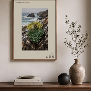 Seabird Cliffbloom Archive Photograph — Extinct Yellow Daisy of the Seabird Stacks, Guanophila maritima, Cottagecore Decor image 3