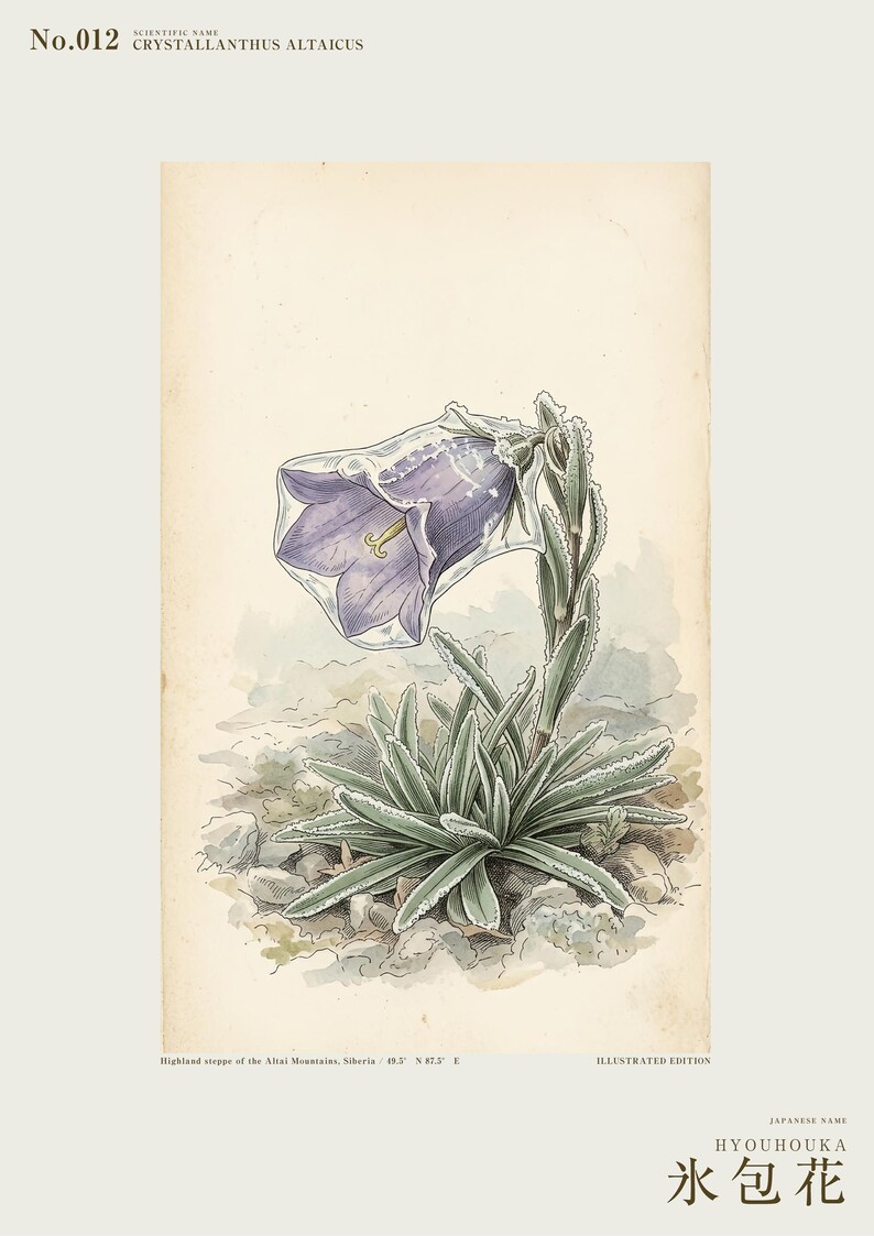 Ice-clad Bell Flower Print – Fictional Siberian Botanical Art (Digital Download) image 2