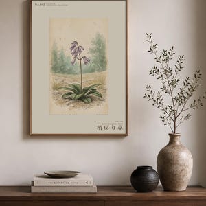 Botanical Print – Umbravena teraiensis Herb Specimen, Dark Academia Wall Art (Digital Download) image 3