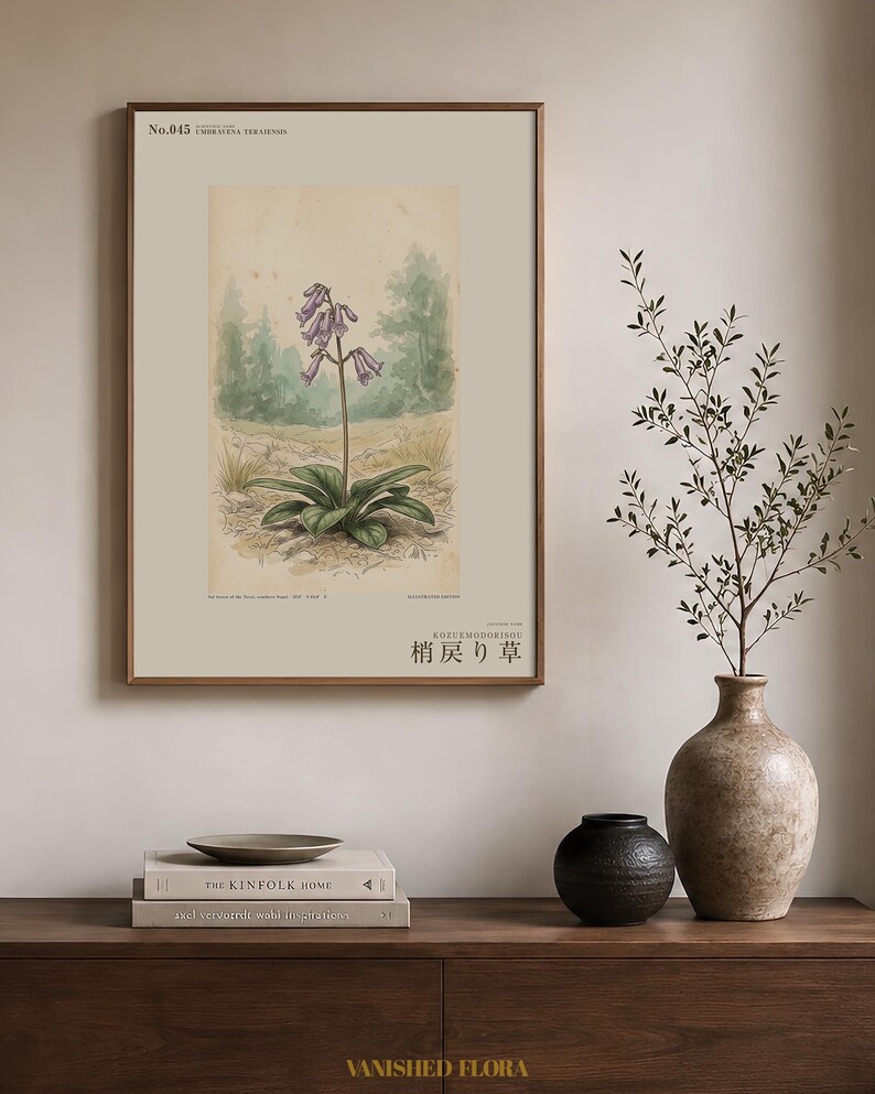 Botanical Print – Umbravena teraiensis Herb Specimen, Dark Academia Wall Art (Digital Download) image 3