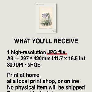 Ice-clad Bell Flower Print – Fictional Siberian Botanical Art (Digital Download) image 8