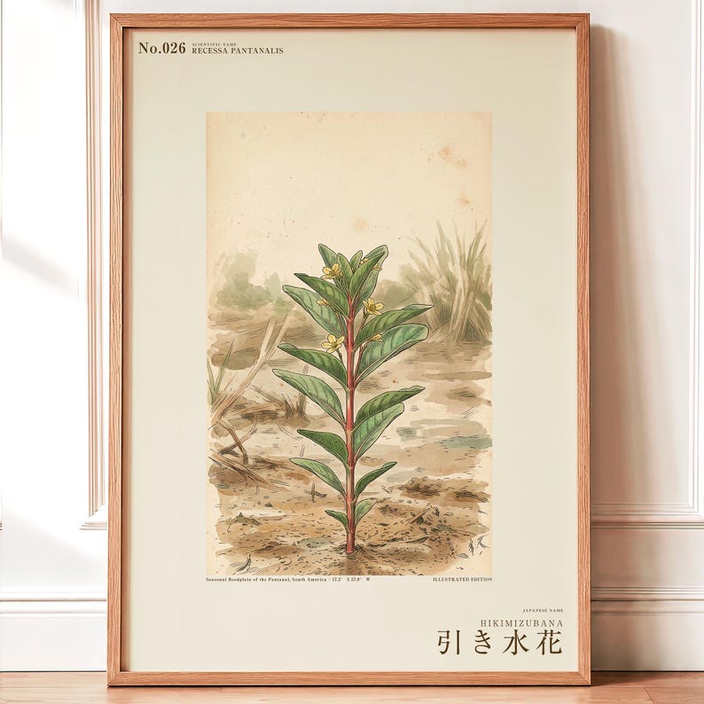 Stampa botanica del fiore di Ebbwater – Fioritura immaginaria del Pantanal, Recessa pantanalis (Download digitale) immagine 1