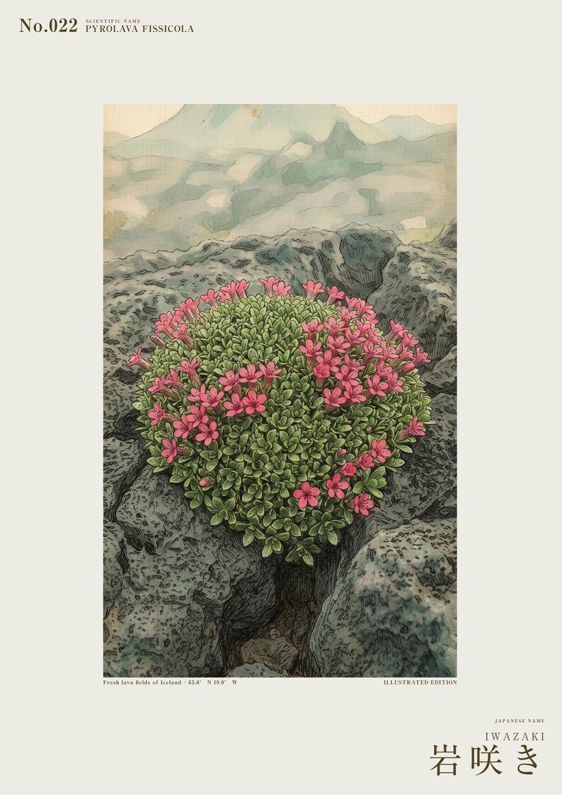 Fictional Iceland Lava Pioneer Print – Pyrolava fissicola Botanical Art (Digital Download) image 2
