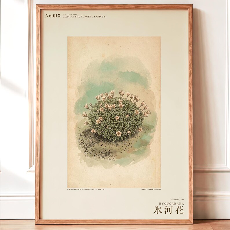 Glacier Bloom Botanical Print – Fictional Greenland Flower Art (Digital Download) image 1