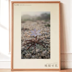 Frozen Flower Print – Vanished Bloom Specimen Photograph (Digital Download) image 1