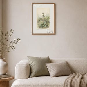Imaginary Treefall Light Botanical Print – Radicava Bialowiensis Wall Art (Digital Download) image 4