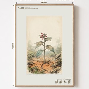 Iron-shun Flower Print – Speculative Congo Basin Botanical Art (Digital Download) image 5