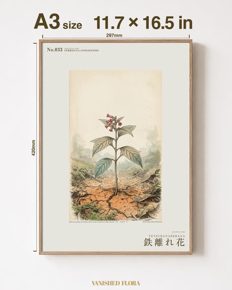Iron-shun Flower Print – Speculative Congo Basin Botanical Art (Digital Download) image 5