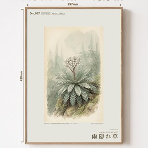 架空の雨芒草プリント – プルビフォリア・ネオゼランディカ、ムーディーなボタニカルアート（デジタルダウンロード） 画像 5