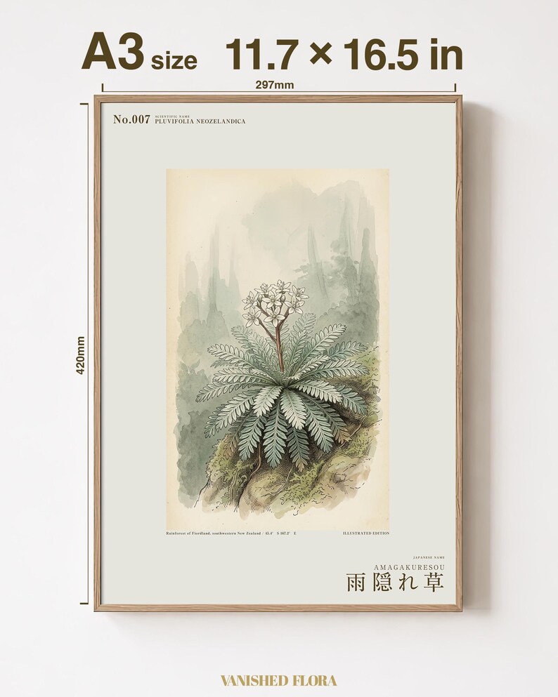 架空の雨芒草プリント – プルビフォリア・ネオゼランディカ、ムーディーなボタニカルアート（デジタルダウンロード） 画像 5