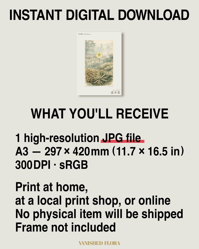 Sinking Bloom Botanical Print – Imaginary Scottish Bog Flower, Paludis mergens (Digital Download) image 8