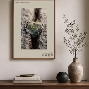 Speculative Rockmoss Print – Petrobryum Sacrificans, Dark Academia Botanical (Digital Download) image 3