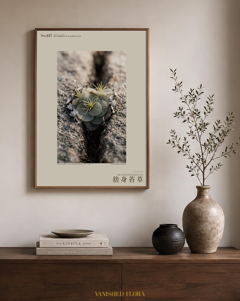 Speculative Rockmoss Print – Petrobryum Sacrificans, Dark Academia Botanical (Digital Download) image 3