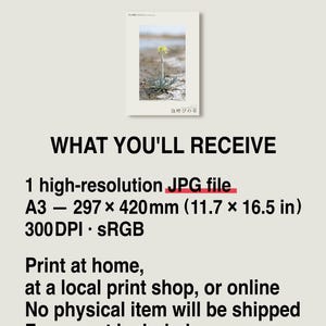 Soda-breath Herb Photograph – Fictional Sodaphyton pannonicum, Printable Art (Digital Download) image 8