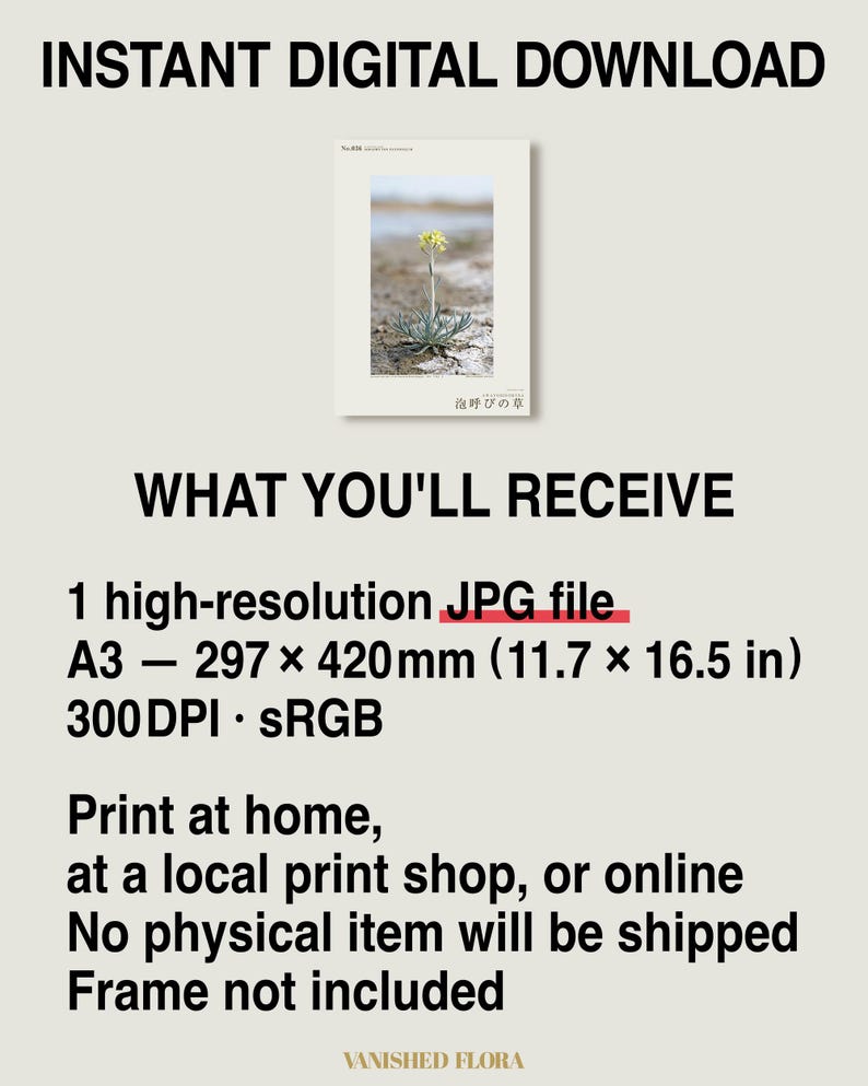 Soda-breath Herb Photograph – Fictional Sodaphyton pannonicum, Printable Art (Digital Download) image 8