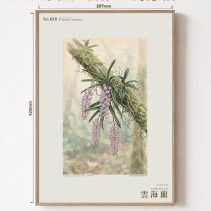 Cloudforest Orchid Print – Extinct Andean Epiphyte, Gothic Botanical Art (Digital Download) image 5