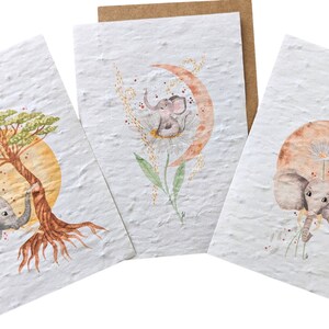 Cartes ensemencées (re)Naissance d'une famille