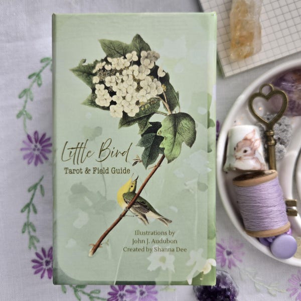 Little Bird Tarot & Field Guide 2nd Edition