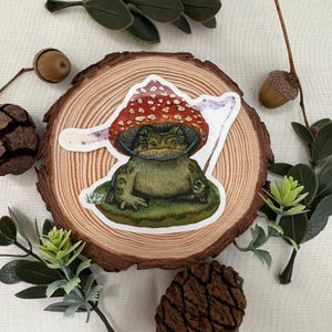 de crapaud féerique de champignons | Crapaud à l'aquarelle | Scrapbooking | Journalisation | Stickers aquarelle pour carnets Cottagecore | Magique | Fantaisie sorcière