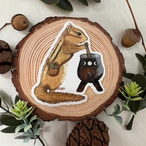 May include: A watercolor illustration of a brown and white chipmunk stirring a cauldron with a wooden spoon. The cauldron is black with three white moons on the side. The chipmunk is wearing a brown satchel with green leaves and mushrooms.