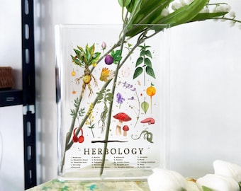Herbology Plants Acrylic Book Vase,Wizard Bookshelf Decor Gift for Book Lovers, Book Lover Gift, Bookish Gift, Plant Lover Gift,Fantasy Vase