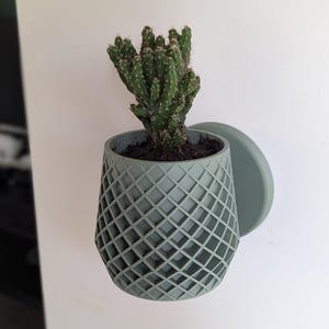 Op de afbeelding: Een groene, geometrische plantenpot met een cactusplant erin. De pot is bevestigd aan een witte muur met een ronde, groene plak.