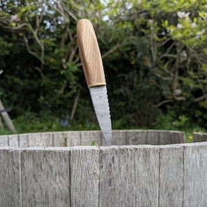 Elm Damascus Sgian Dubh