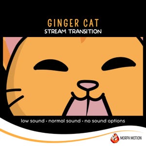 Ginger Cat Animated Stream Transition with Audio, Twitch Stinger Transition, Kawaii Cat OBS, Cute Streaming Assets for VTuber Streamers