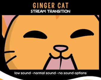 Ginger Cat Animated Stream Transition, Kawaii VTuber Stinger (WebM)