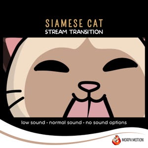 Siamese Cat Animated Stream Transition with Audio, Twitch Stinger Transition, Kawaii Cat OBS, Cute Streaming Assets for VTuber Streamers