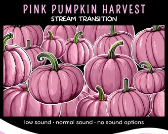 Pink Pumpkin Harvest Stream Transition, Autumn Stinger (WebM)