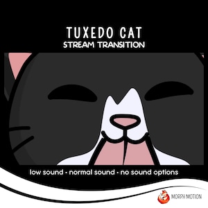 Puede incluir: Un gato tuxedo negro y blanco con la nariz rosa y los ojos cerrados. El texto "Tuxedo Cat Stream Transition" está por encima del gato y el texto "low sound - normal sound - no sound options" está debajo del gato.