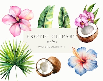 Watercolor Tropical Greenery Clipart | Jungle Leaves & Monstera PNG | Exotic Palm Leaf Scrapbooking Kit | Summer Digital Download