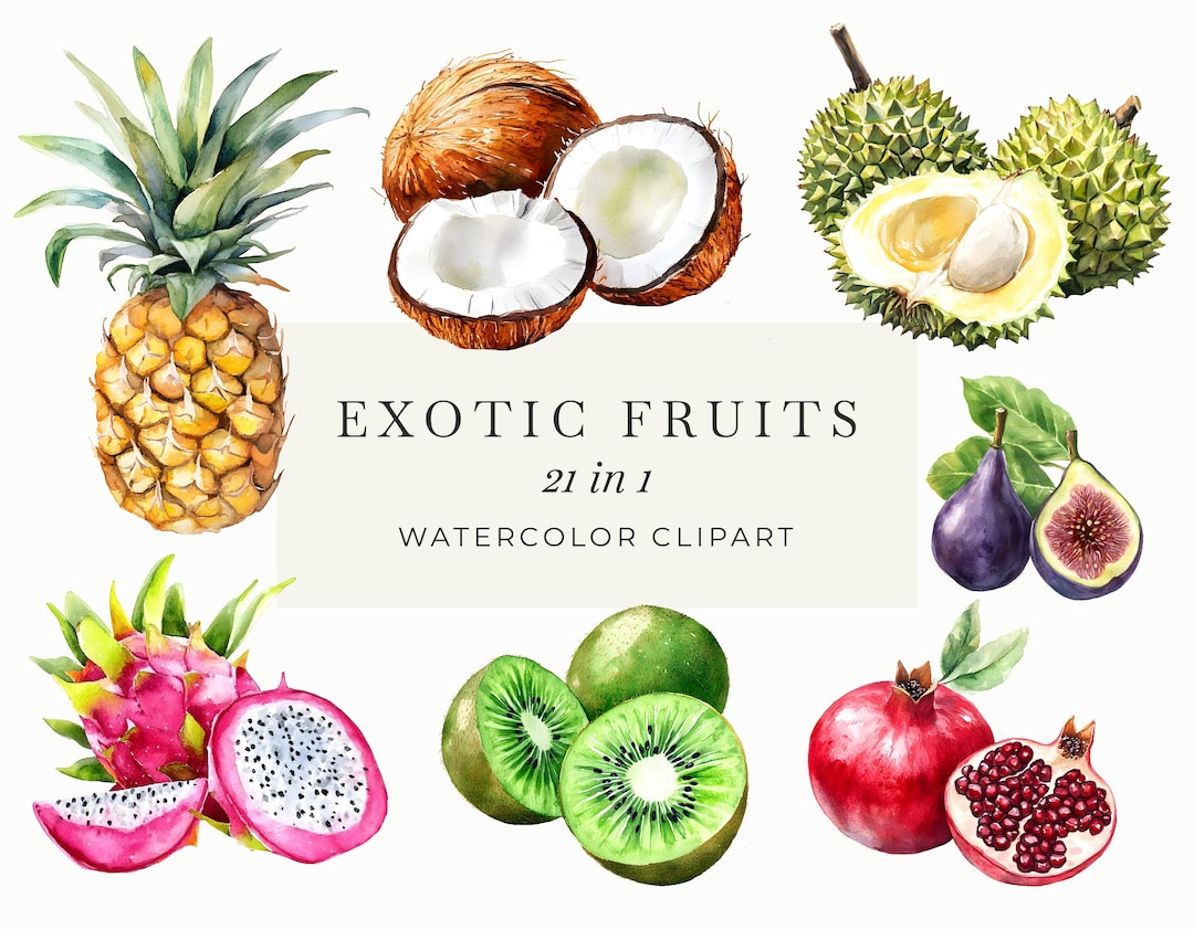 Exotic Fruit Watercolor Clipart | Tropical Fruit PNG Set | Vibrant ...