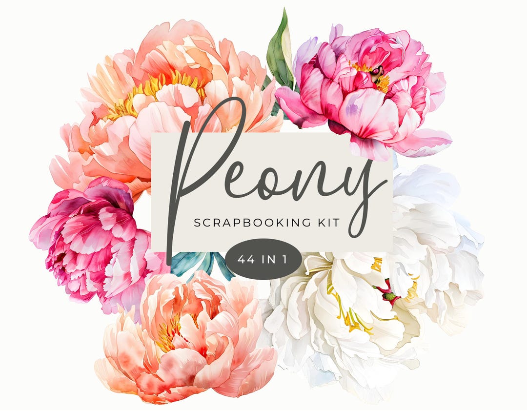 Watercolor Peony Clipart | Pink and White Peonies PNG | Wedding Spring ...